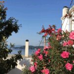 Thavma Summer House