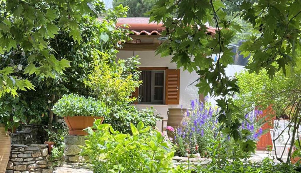 Sycamore Villa