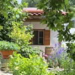 Sycamore Villa