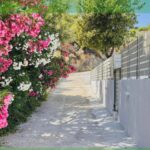 Zorbas Familly Villas