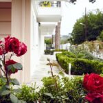 SKIATHOS SOMNIA