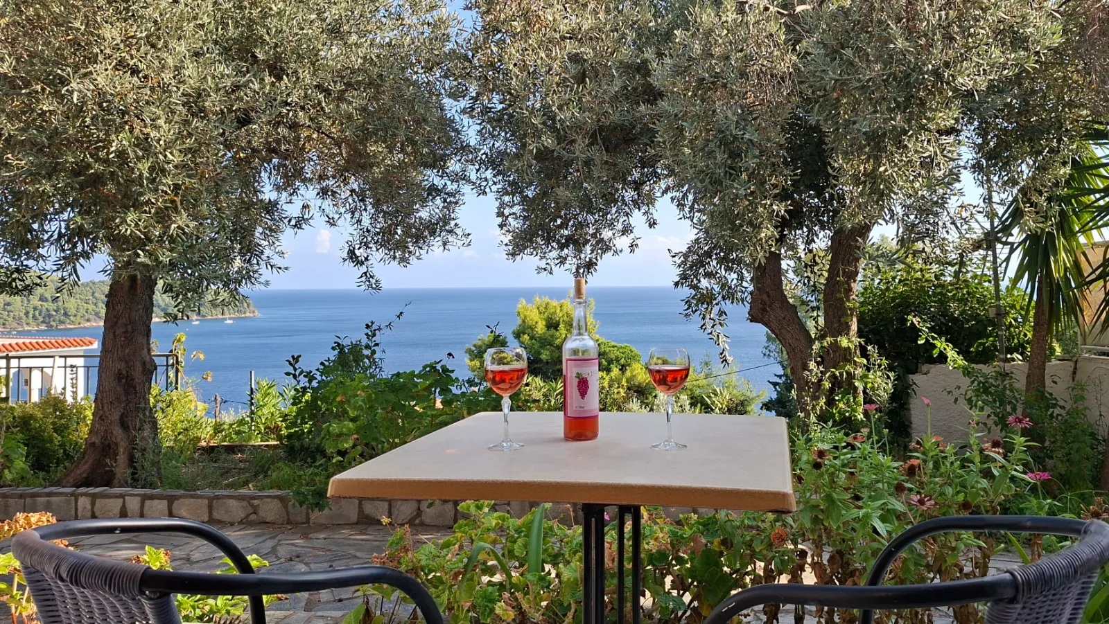 Bottle of wine and glasses on a garden table framed by ancient olive trees with a sea view backdrop.